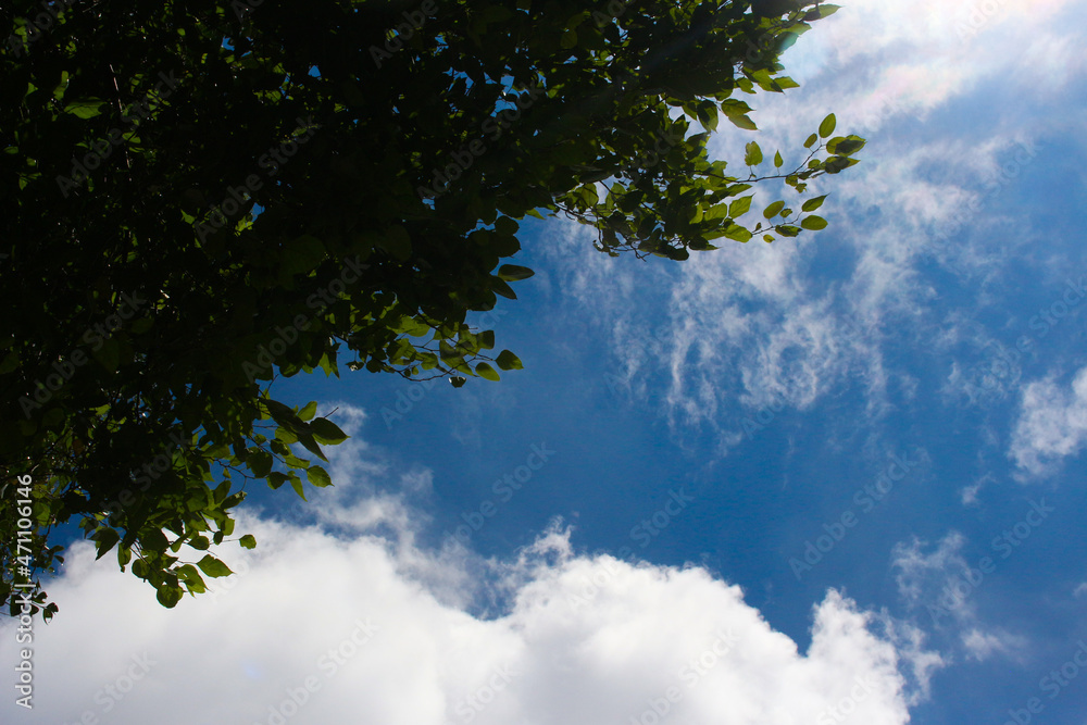 Céu, dia ensolarado, natureza