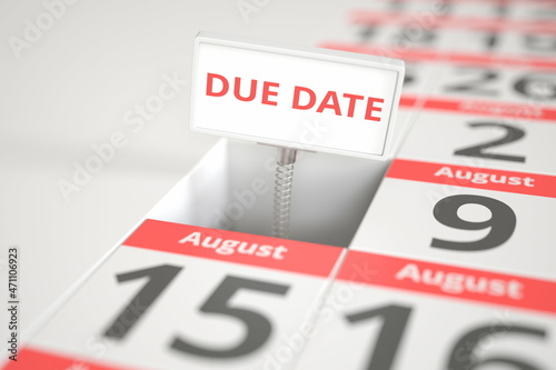 DUE DATE sign on August 8 in a calendar, 3d rendering