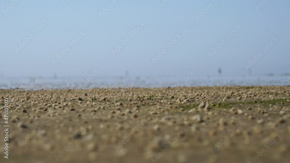 Nordsee - Ebbe und Flut im Watt an der Nordseeküste Nordsee - Ebbe und Flut im Watt an der Nordseeküste