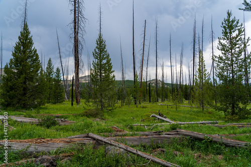 Φωτογραφία The backcountry of Yellowstone National Park on Fairy Falls hiking trail on a su