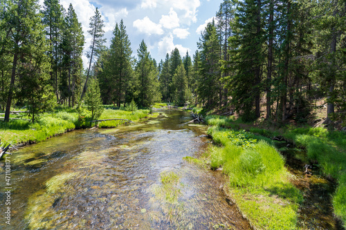 Green grass, trees, and rock line the Firehole River in Yellowstone National Park in Wyoming on a sunny summer day