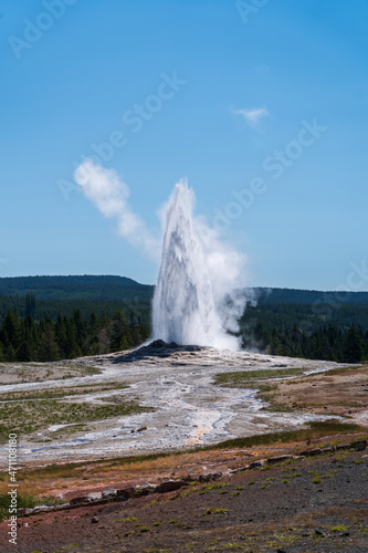 Old Faithful Erupts at the Upper Geyser Basin in Yellowstone National Park on a sunny summer day