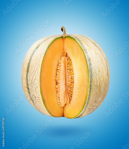 Melon isolated on blue background