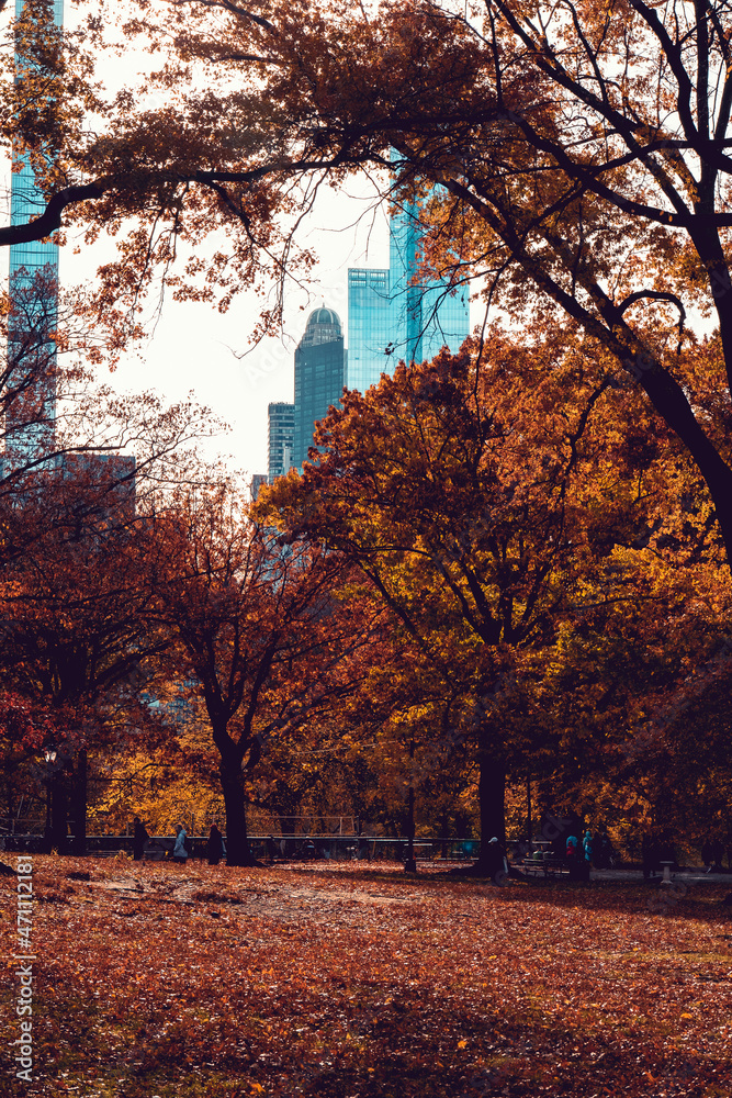 Fototapeta premium Fall park