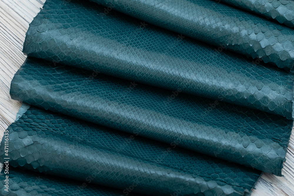 aquamarine dyed genuine natural python leather on the wooden table	
