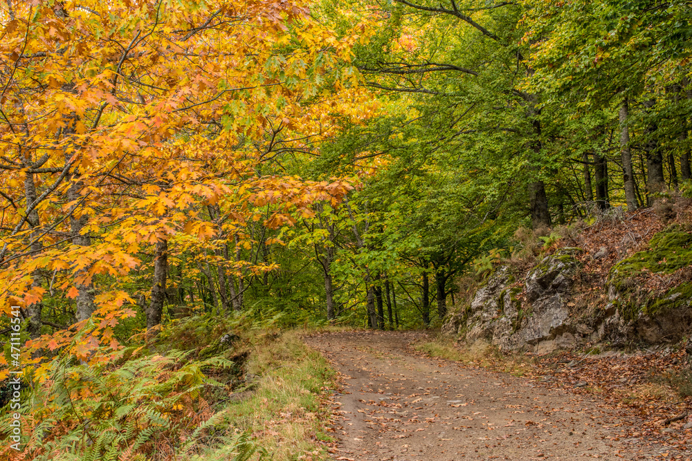 Fototapeta premium Serra da Estrela, Portugal