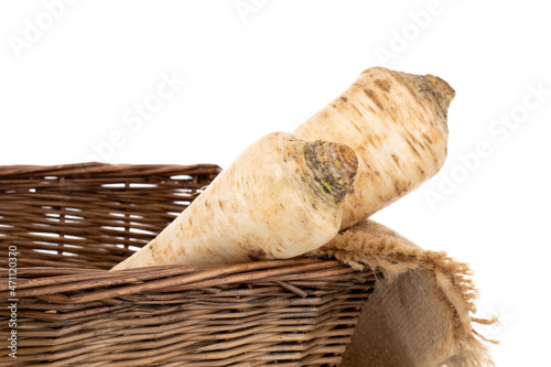 Two spicy parsnips with a basket of vine, close-up, isolated on white.