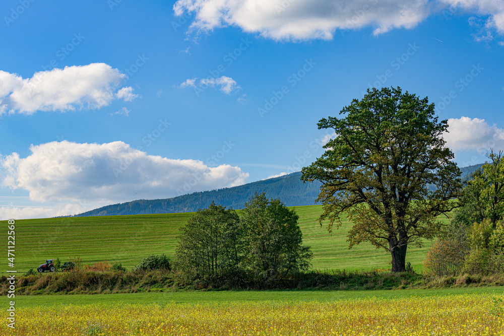 Frühling