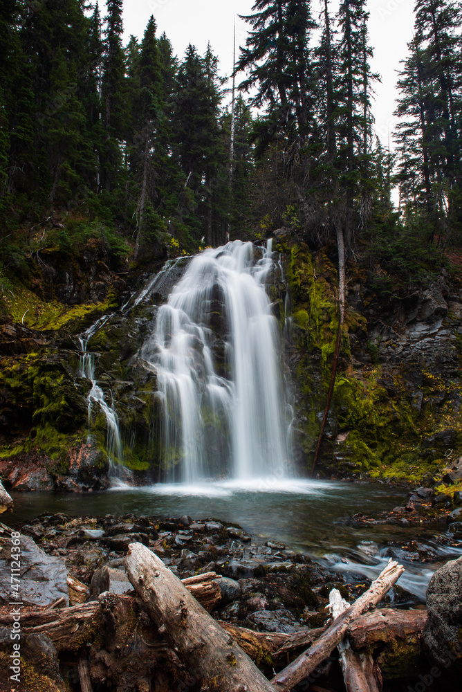 Obraz premium Middle Tumalo falls with logs