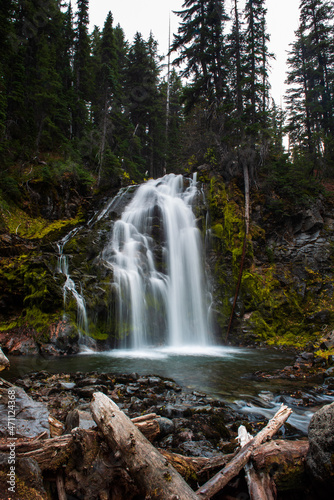 Fototapeta Naklejka Na Ścianę i Meble -  Middle Tumalo falls with logs