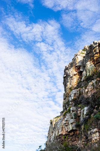 Rugged mountain landscape with fynbos flora in Cape Town