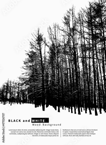 Black and White Graphic Background with Trees. Vector illustration.