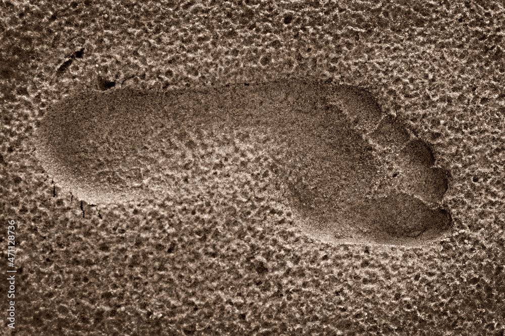 Obraz premium footprint in sand