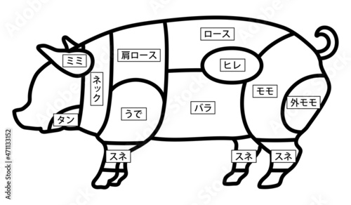 豚の部位