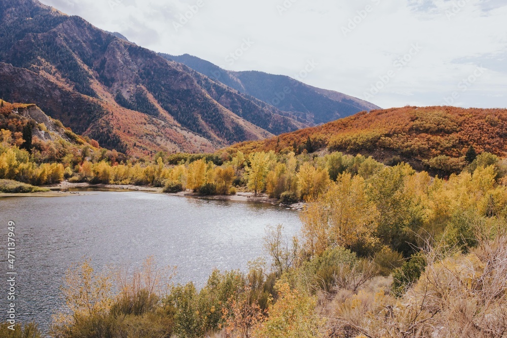 Utah Views
