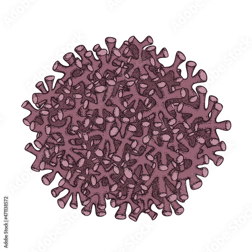Hand drawn algae Rhodolith and coral medicine sketch for medical design treatment. Isolated design. Vector illustration.