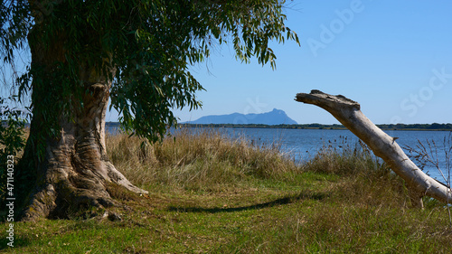 Lake Fogliano and Mount Circeo, Circeo National Park, Italy photo