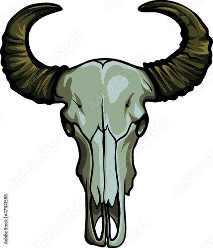 Hand drawn buffalo skull. Native American symbol. Head bull  vector illustration.