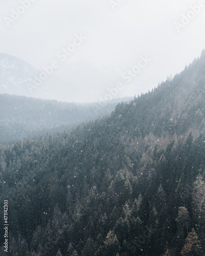 Winter landscape in Austria with snowy forests  © Kevin