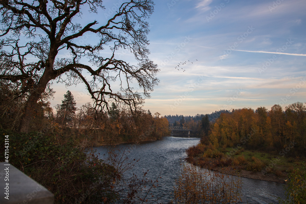 paisaje, portland, Oregon, Estados Unidos, vista, relax, cielo, azul, niebla, verde, color, bruma, puente, montaña, bosques, pinos, street paisaje, portland, Oregon, Estados Unidos, vista, relax, cielo, azul, niebla, verde, color, bruma, puente, montaña, bosques, pinos, street