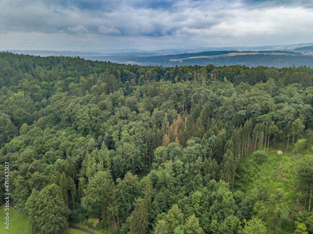 Fototapeta premium Aerial view of countryside forest in Switzerland with cloudy sky