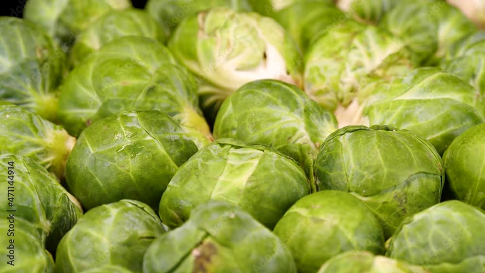 Brussel sprouts on a black background. Fresh, green and ripe brussel sprouts rotating on a black background Brussel sprouts on a black background. Fresh, green and ripe brussel sprouts rotating on a black background