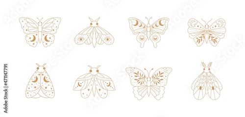 Magical Butterfly with Moon and stars