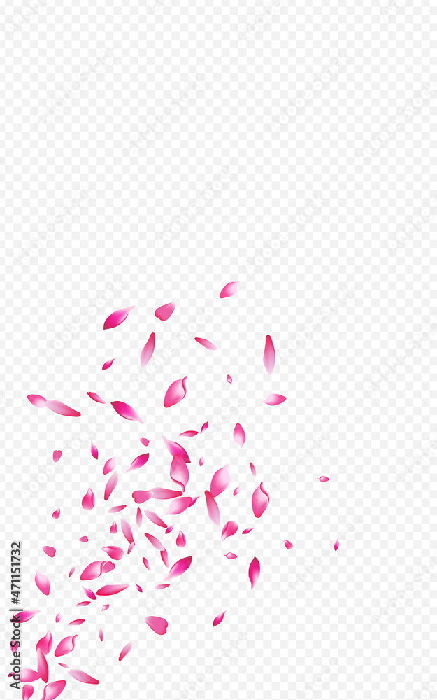 Delicate Floral Falling Vector Transparent Delicate Floral Falling Vector Transparent