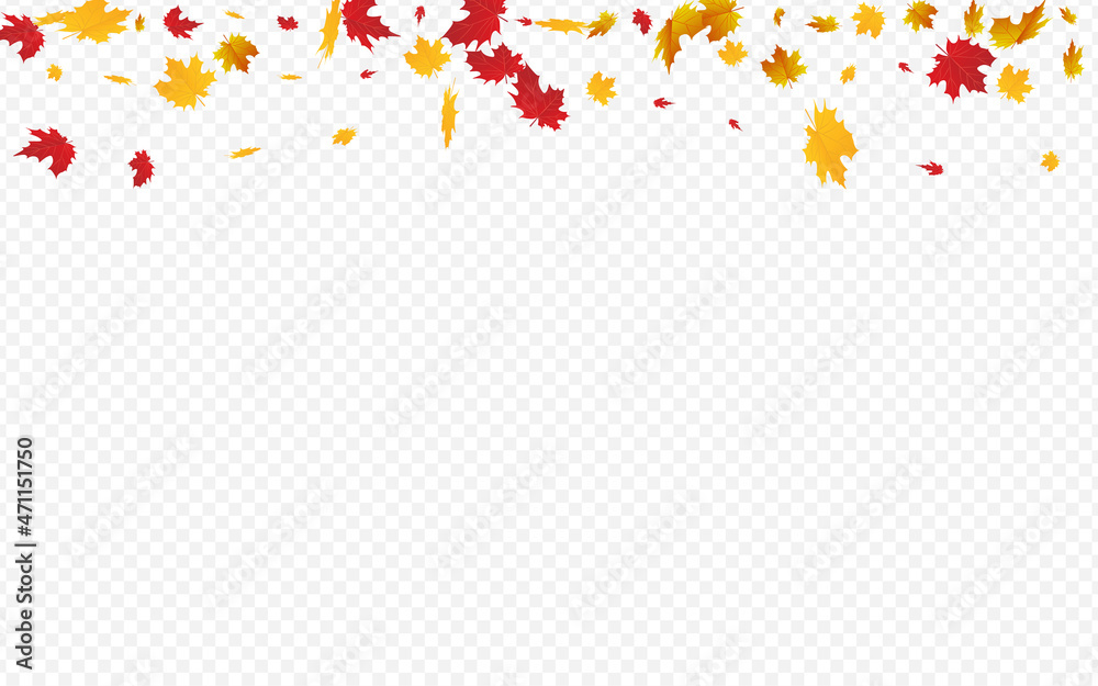 Brown Foliage Vector Transparent Background. Brown Foliage Vector Transparent Background.