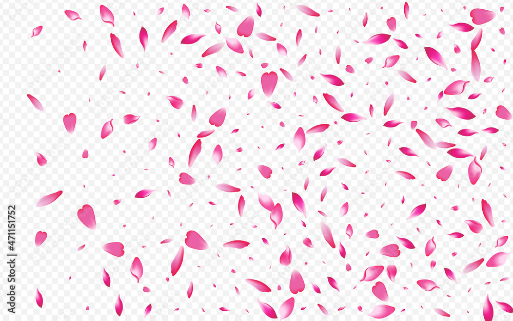 White Flower Vector Transparent Background. Leaf White Flower Vector Transparent Background. Leaf