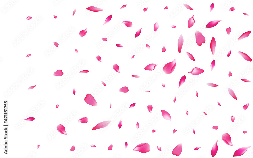 White Rose Petal Vector White Background. Purple