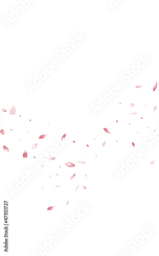 Red Lotus Japan Vector White Background. Tender © Natallia