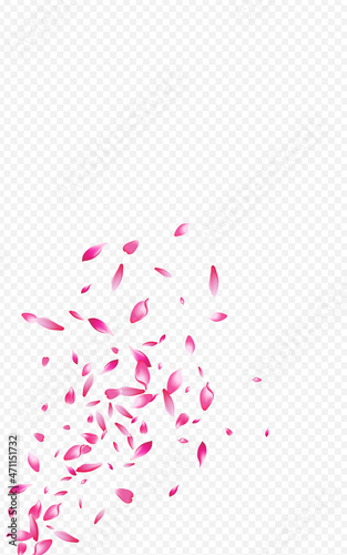 Delicate Floral Falling Vector Transparent