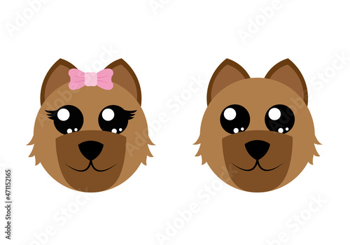 Chien