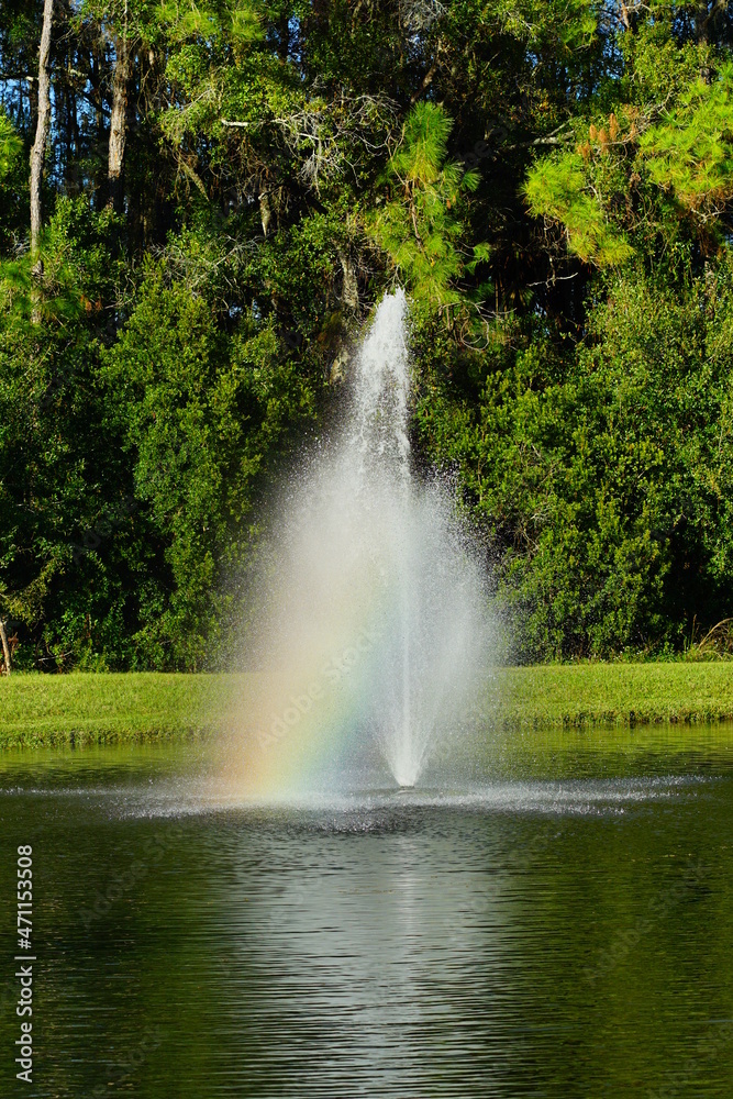 Naklejka premium A Florida community pond in winter 