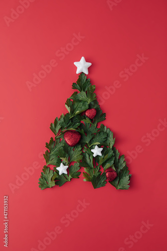 .a Christmas tree with Christmas hearts and stars  of parsley