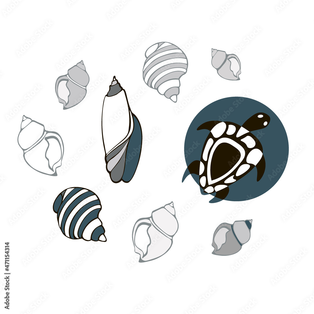 isolated element print logo sea turtle and sea shells hand sketch ink vector