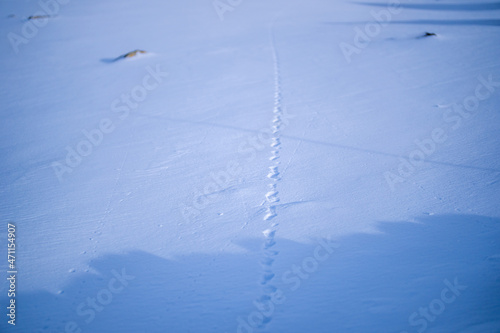 富山県立山町にある立山の冬の雪景色のある風景 Landscape with snowy winter scenery of Tateyama in Tateyama Town, Toyama Prefecture, Japan.