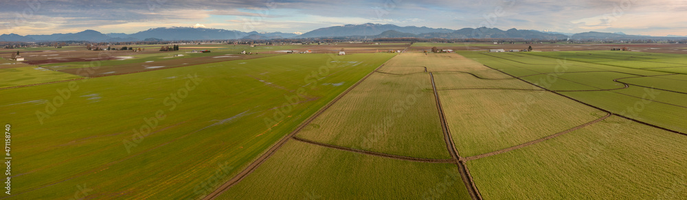 Naklejka premium Aerial View of Farmland in the Skagit Valley, Washington. This region has been recognized as having some of the most agriculturally productive and valuable farmland in the world.
