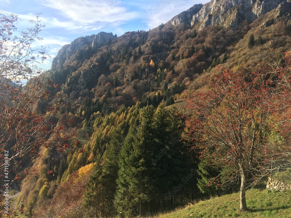 autumn in the mountains autumn in the mountains