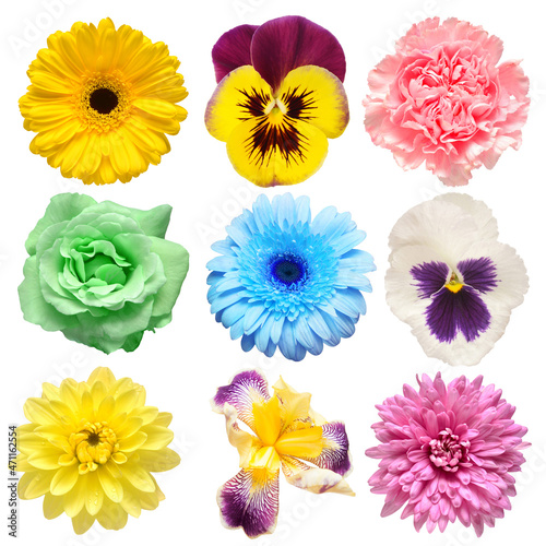Flowers head collection of beautiful gerbera, iris, rose, carnation, pansy, daisy, dahlia isolated on white background. Card. Easter. Spring time set. Flat lay, top view © Flower Studio