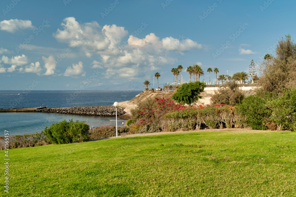 Landscape of the sea and coastal volcanic rocks. La caleta beach, Canary Island Tenerife, Spain