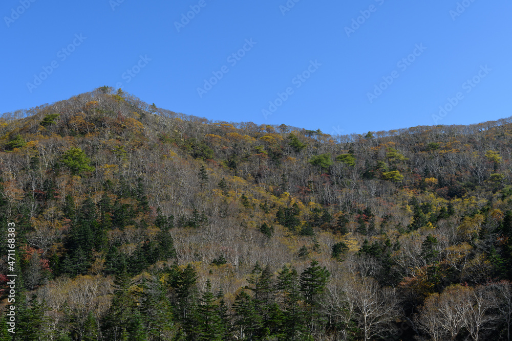 日光白根山の紅葉