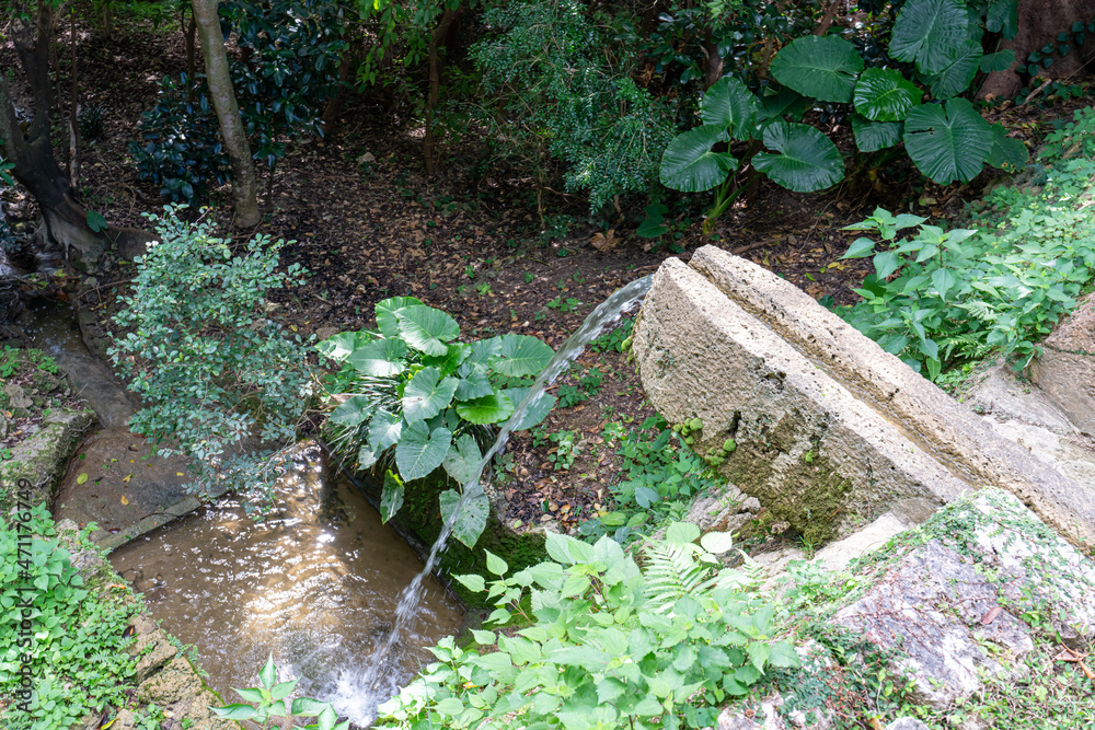 Obraz premium 沖縄 那覇 世界遺産 識名園の滝口