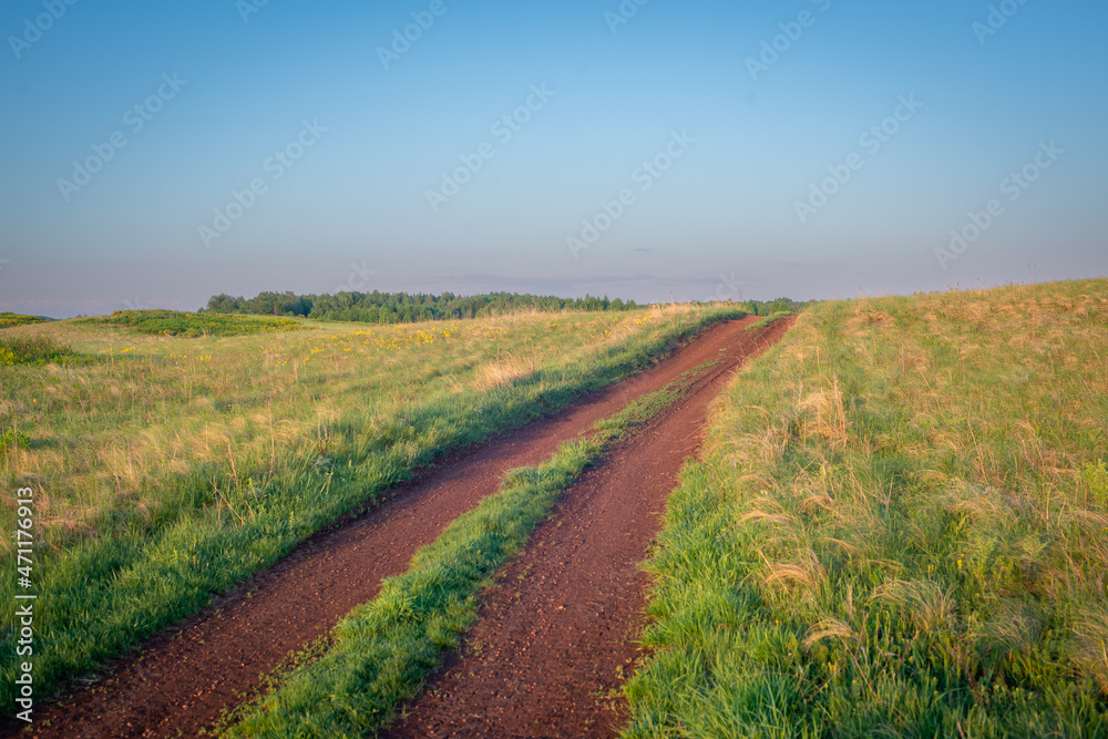 Road to the field. Grass on the sides.