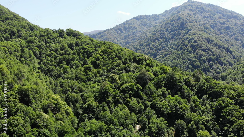 flying drone over green mountains with trees landscape, top view from above, aerial shot, inspirational wonderful nature vertigo effect