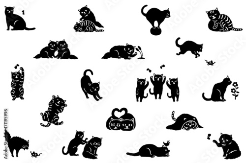 15パターンの動きをした猫