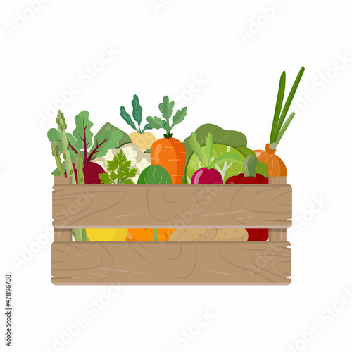 Vegetables in wooden box, isolated on white background. Vegan food, set of homegrown plants, farmers market. Vector illustration