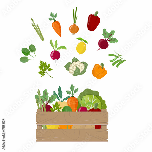Vegetables in wooden box, concept healthy nutrition, isolated on white background. Vegan food, set of homegrown plants. Vector illustration