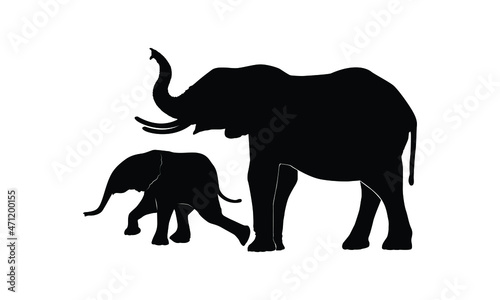 silhouette elephants family on white background. 
